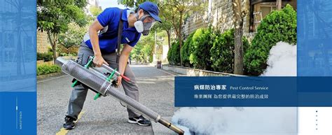 白蟻怎麼來|白蟻防治怎麼做？3分鐘教你懂白蟻習性、白蟻防治妙招